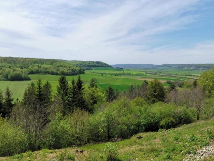Le Nid D'Alex Spa , Rando Et Table D'Hote Autigny-la-Tour Exteriör bild